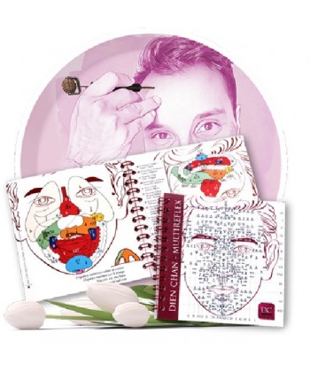 Facioterapia Dien Chan  MiniBook de esquemas