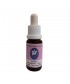 GORSE -  ESENCIA FLORAL BACH/KORTE 15 ml.