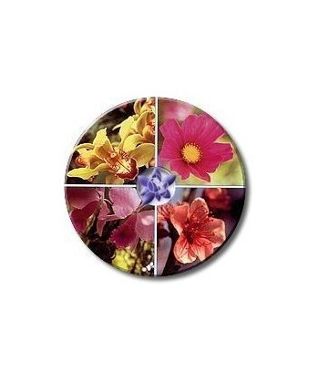 RQ5 -  ESENCIA FLORAL BACH/KORTE 30 ml.(RESCATE ELIXIR DE URGENCIA