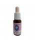 CHICORY -  ESENCIA FLORAL BACH/KORTE 15 ml.