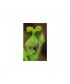 WALNUT -  ESENCIA FLORAL BACH/KORTE 15 ml.