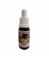 WALNUT -  ESENCIA FLORAL BACH/KORTE 15 ml.