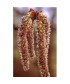 ASPEN -  ESENCIA FLORAL BACH/KORTE 15 ml.