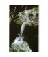 ROCK WATER -  ESENCIA FLORAL BACH/KORTE 15 ml.