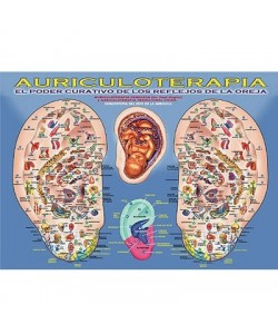 AURICULOTERAPIA